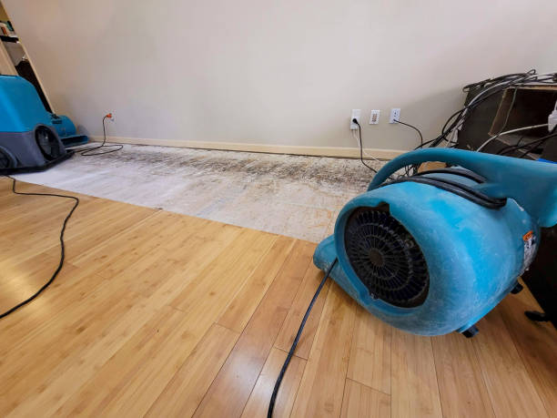 Professional Basement Flood Cleanup technician working in Solomon, KS